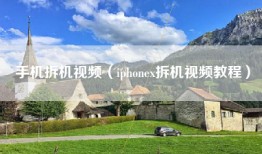 手机拆机视频（iphonex拆机视频教程）