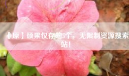 【原】硕果仅存的5个，无限制资源搜索站！