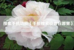 搜索手机功能（手机搜索设备在哪里）