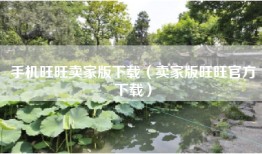 手机旺旺卖家版下载（卖家版旺旺官方下载）