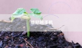 维尼熊手机