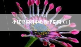 小红书商机中心操作指南（1）