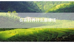 在农村养什么最赚钱