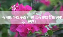有用的小程序百科-微信有哪些好用的小程序？