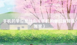 手机的单位是什么（手机的单位换算在哪里）