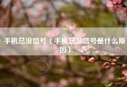 手机总没信号（手机总没信号是什么原因）