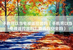 手机可以当电视遥控器吗（手机可以当电视遥控器吗？要钱吗安全吗）