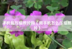 手机能压缩照片吗（用手机怎么压缩照片）
