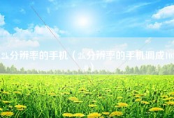 2k分辨率的手机（2k分辨率的手机调成1080）