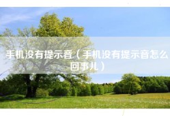 手机没有提示音（手机没有提示音怎么回事儿）