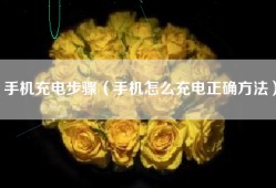 手机充电步骤（手机怎么充电正确方法）