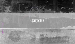 GOTCHA