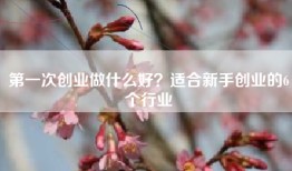 第一次创业做什么好？适合新手创业的6个行业