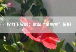 权力下放后：雷军“金融梦”依旧