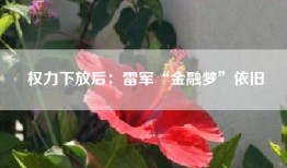 权力下放后：雷军“金融梦”依旧