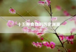 十五种食物的历史渊源