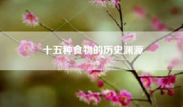 十五种食物的历史渊源