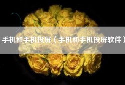 手机和手机投屏（手机和手机投屏软件）