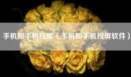 手机和手机投屏(手机和手机投屏软件)
