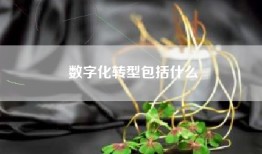 数字化转型包括什么