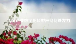 传统产业数字化转型应向何处发力