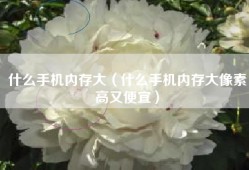 什么手机内存大（什么手机内存大像素高又便宜）