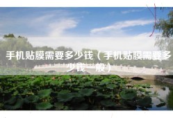 手机贴膜需要多少钱（手机贴膜需要多少钱一般）