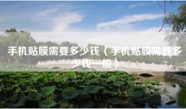 手机贴膜需要多少钱(手机贴膜需要多少钱一般)