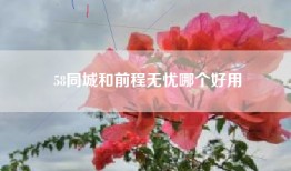 58同城和前程无忧哪个好用