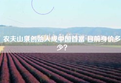 农夫山泉创始人成中国首富 目前身价多少？