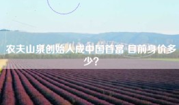 农夫山泉创始人成中国首富 目前身价多少？