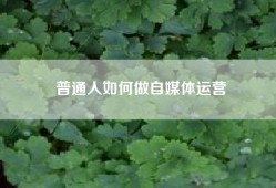 普通人如何做自媒体运营