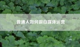 普通人如何做自媒体运营