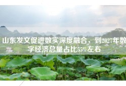 山东发文促进数实深度融合，到2027年数字经济总量占比55%左右