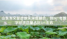 山东发文促进数实深度融合，到2027年数字经济总量占比55%左右