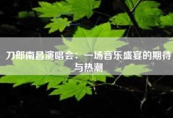 刀郎南昌演唱会：一场音乐盛宴的期待与热潮