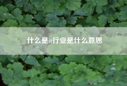 什么是it行业是什么意思