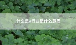 什么是it行业是什么意思