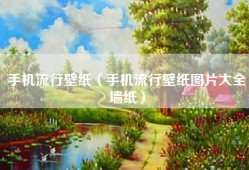 手机流行壁纸（手机流行壁纸图片大全墙纸）
