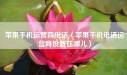 苹果手机运营商电话（苹果手机电话运营商设置在哪儿）