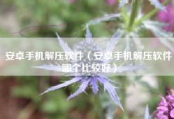 安卓手机解压软件（安卓手机解压软件哪个比较好）