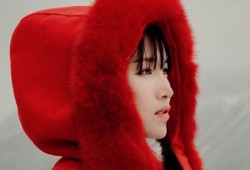 李子柒是谁个人资料 李子柒父母怎么去世的？李子柒家在哪是富二代吗
