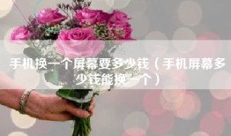 手机换一个屏幕要多少钱（手机屏幕多少钱能换一个）
