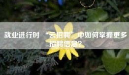 就业进行时 “云招聘”中如何掌握更多招聘信息？