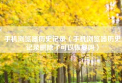 手机浏览器历史记录（手机浏览器历史记录删除了可以恢复吗）