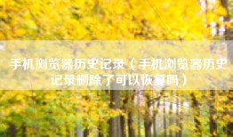 手机浏览器历史记录（手机浏览器历史记录删除了可以恢复吗）