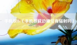 手机放flv（手机放枕边睡觉有辐射吗）