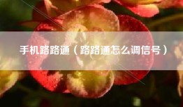 手机路路通（路路通怎么调信号）