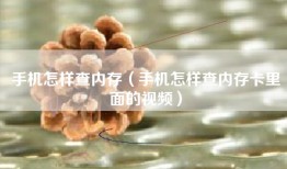 手机怎样查内存（手机怎样查内存卡里面的视频）