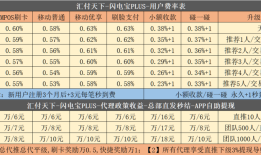 闪电宝plus是什么怎么代理，闪电宝政策讲解